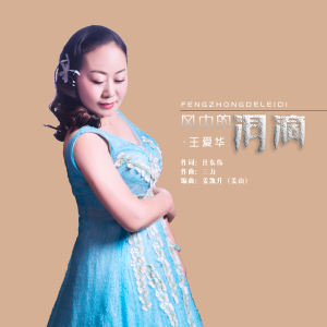 Album 风中的泪滴 (DJ版) from 王爱华