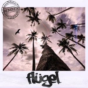 Listen to Flügel (Larvik Remix) song with lyrics from Seaside Clubbers