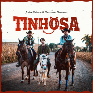 Listen to Tinhosa song with lyrics from Gavenn