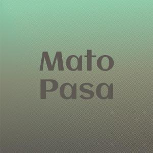 Listen to Abate Verano song with lyrics from Jany Pally