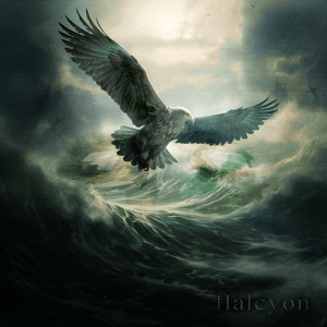 Album Halcyon from Daniël Tomàs