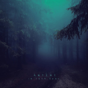 Antent的專輯In Your Arms (Remixes)