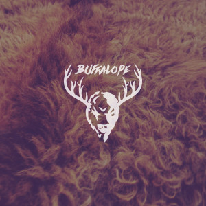 ดาวน์โหลดและฟังเพลง Don't Be a Bitch พร้อมเนื้อเพลงจาก Buffalope