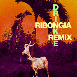 收聽Sofi Tukker的Drinkee (Ribongia Remix)歌詞歌曲
