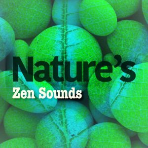 อัลบัม Nature's Zen Sounds ศิลปิน Nature Sounds 2015