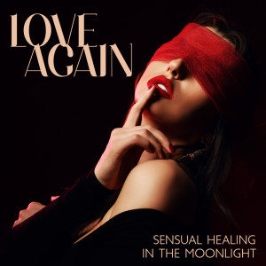 อัลบัม Love Again, Sensual Healing in the Moonlight ศิลปิน Sexual Music Collection