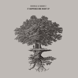 ดาวน์โหลดและฟังเพลง It Happened One Night พร้อมเนื้อเพลงจาก Sahar Z