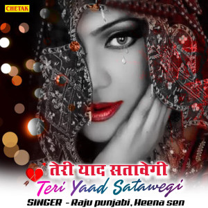 Album Teri Yaad Satawegi from Heena Sen