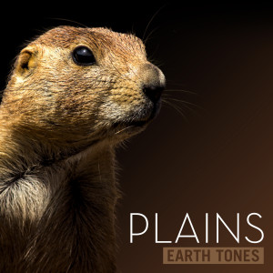Earth Tones: Plains