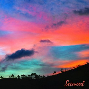 Album Get Over the Night from Seeweed