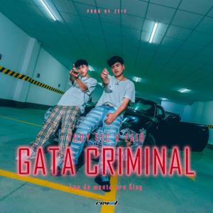 Gata Criminal (feat. Zaid)