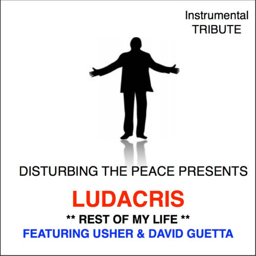 Rest of My Life (Tribute to Ludacris Feat. Usher & David Guetta Instrumental)