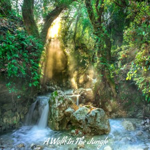 Listen to A Walk in the Jungle song with lyrics from Angie Hawke