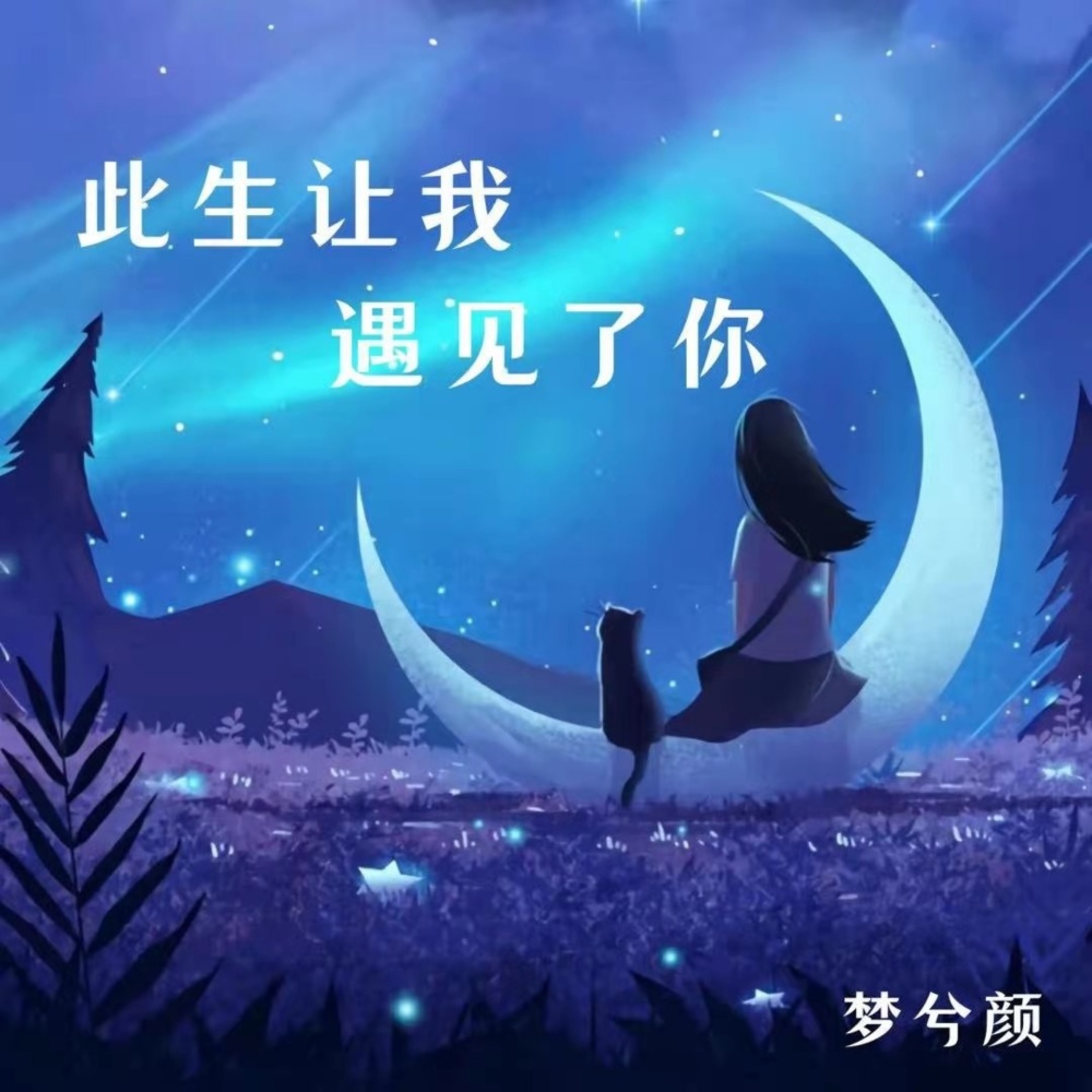 此生让我遇见了你 (伴奏)