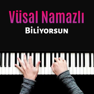 Listen to Biliyorsun song with lyrics from Vüsal Namazlı