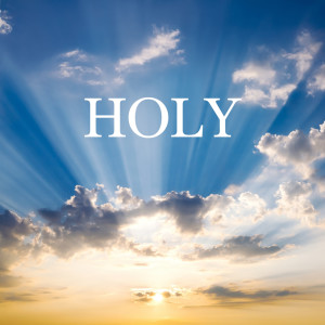 Album Holy oleh Vibe2Vibe