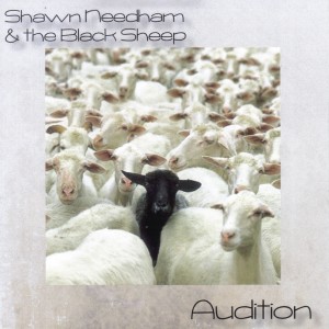 收聽Shawn Needham的Audition歌詞歌曲