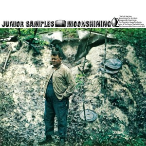 ดาวน์โหลดและฟังเพลง The Disorderly House พร้อมเนื้อเพลงจาก Junior Samples