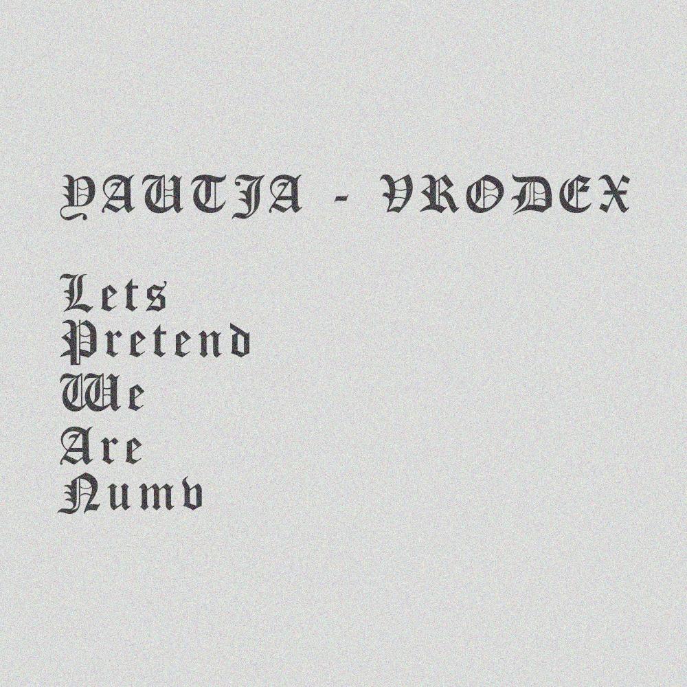 Lets Pretend We Are Numb (feat. Vrodex)