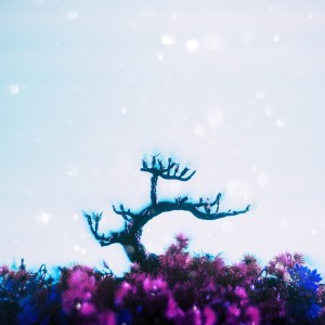 收听BARDZ的Save Myself歌词歌曲