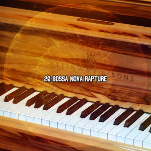Bar Lounge的专辑20 Bossa Nova Rapture
