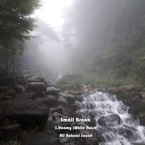 收聽J.Roomy的Small Brook (ASMR, Nature Sound)歌詞歌曲