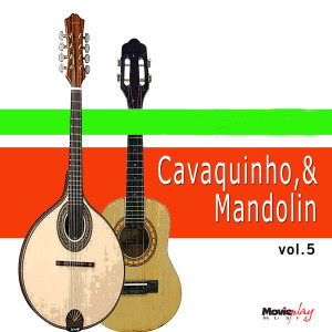 Album Cavaquinho e Mandolin Vol.5 from Evandro do Bandolin e seu Regional