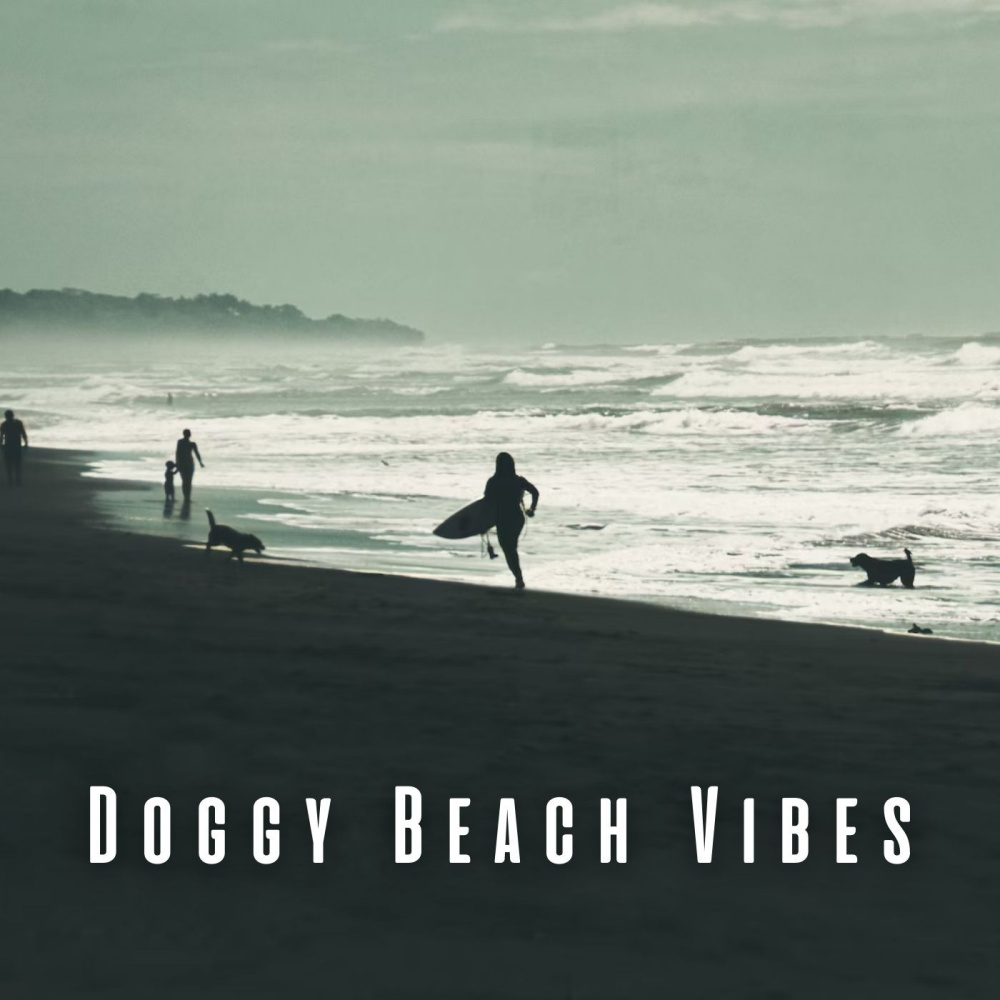 Oceanic Oasis for Dogs