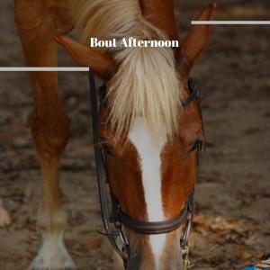 Listen to Come Horse song with lyrics from Relie