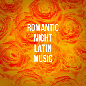 Salsa All Stars的专辑Romantic Night Latin Music