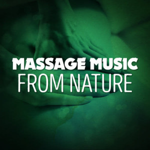ดาวน์โหลดและฟังเพลง Small Brook พร้อมเนื้อเพลงจาก Massage Music
