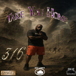 316 aka Shellz 360的專輯Take you Home