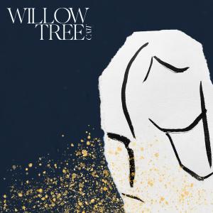 ดาวน์โหลดและฟังเพลง Willow Tree พร้อมเนื้อเพลงจาก Catt