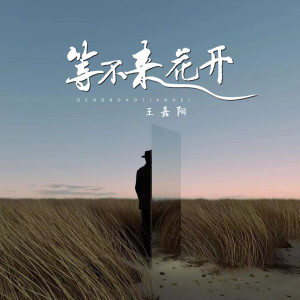 Listen to 等不来花开 (抒情版) song with lyrics from 王嘉阳