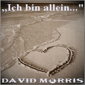 收聽David Morris的Ich bin allein歌詞歌曲
