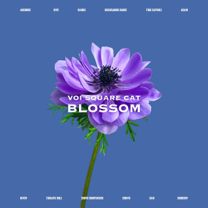 收聽VOI SQUARE CAT的Neko kaburi dance歌詞歌曲