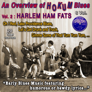 The Harlem Hamfats的專輯An Overview of Hokum Blues 6 Vol. - Vol. 2 : Harlem Hamfats Early blues music (20 Titles - 1936-1938)