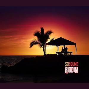 Album So Sound Riddim (Instrumental) from 
