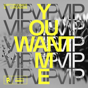 Album You Want Me from Dirtyphonics
