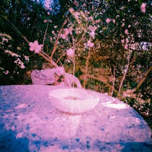 Album f'days from 