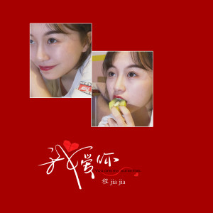 Album 我爱你 from 程佳佳
