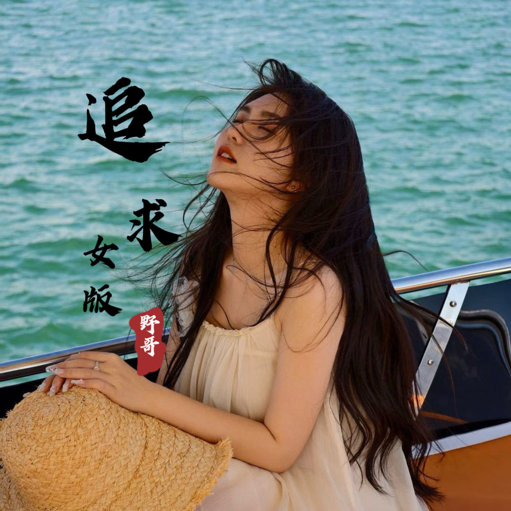 追求 (DJ版)