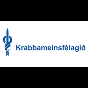 收聽Gísli Ægir Agústsson的Lífsins ljós歌詞歌曲