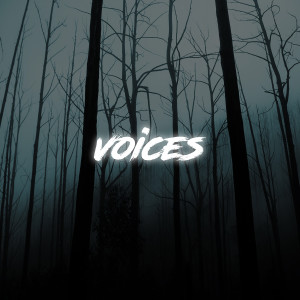 Tha Bangers的專輯Voices