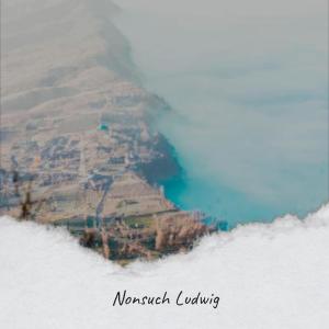 Album Nonsuch Ludwig from Various