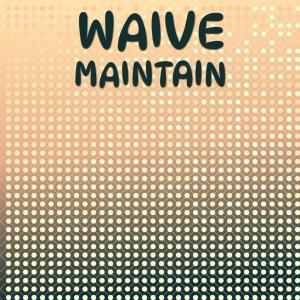 Various Artists的專輯Waive Maintain