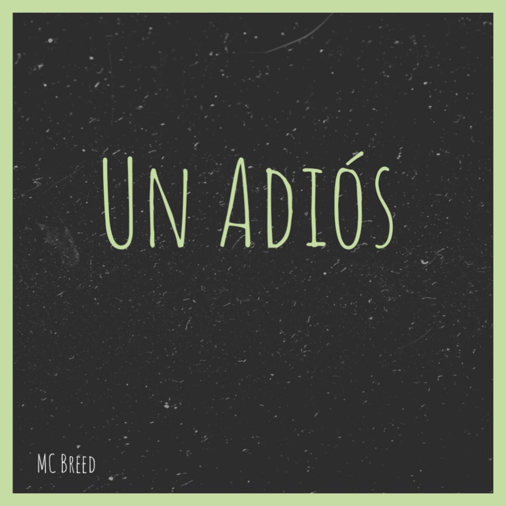 Un Adiós