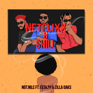 Album Netflixx & $Hill (Explicit) from not.nilc