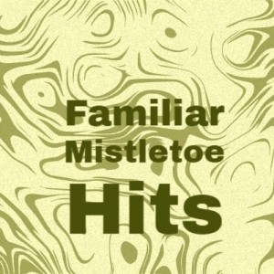 ดาวน์โหลดและฟังเพลง We Three Kings พร้อมเนื้อเพลงจาก Denny Chew