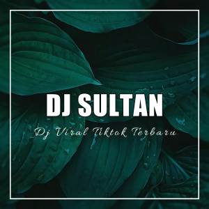 DJ Sultan的专辑DJ Mr Loba Loba